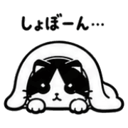 032