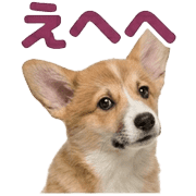 020