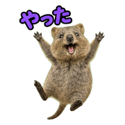 006