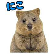 013