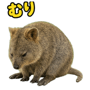 014