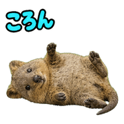 026