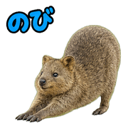 029