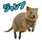 031