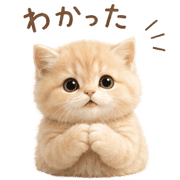 007