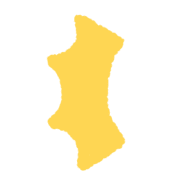 031