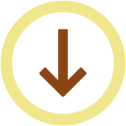 261