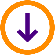 261