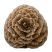 016