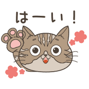 020
