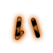 002
