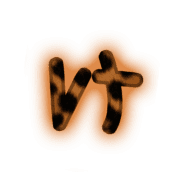 009