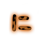 022