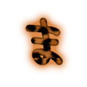 031