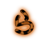 039