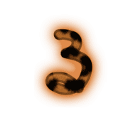 041