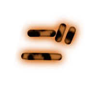 060