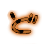 070