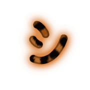 092
