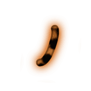 105
