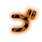 140