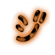 142