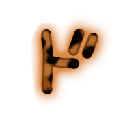 150
