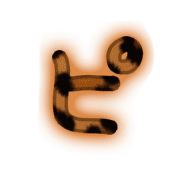 157