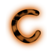 164