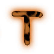 181