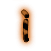 196