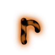 205