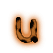 208