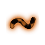224