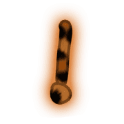 225