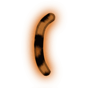 234