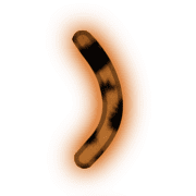 235