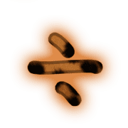 237