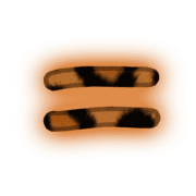 239