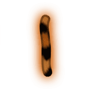 242