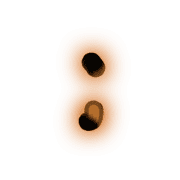 243