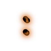 244