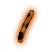 247