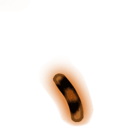 256