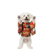 033