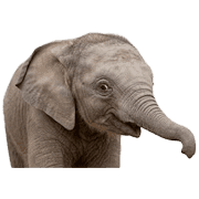 039