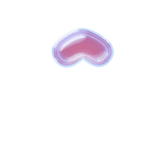 231