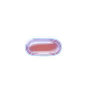 251