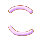 010