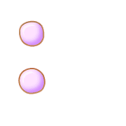 244